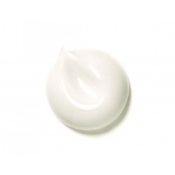 Honey Foot Cream - Mavex Swiss Natural Cosmetic - Body Cosmetic
